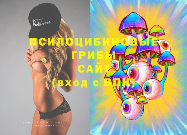 PSILOCYBIN Медногорск